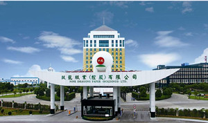 玖龍紙業